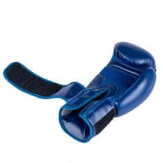 DBX BUSHIDO boxerské rukavice ARB-407-Blue 10 oz