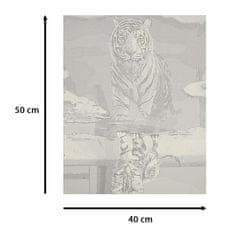 KIK Malování podle čísel 50 x 40 cm - Kočka a tygr