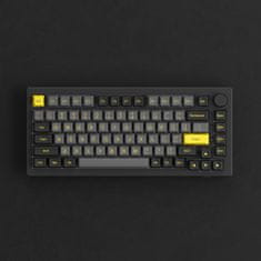 AKKO Black & Gold ABS SAL Keycaps Set (195-Key), Layout ANSI