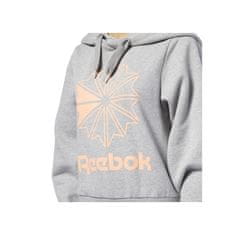 Reebok Mikina šedá 153 - 157 cm/XXS Big Logo Hoodie