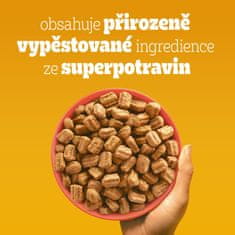 Pedigree granule s hovězím se zeleninou pro dospělé psy 12 kg