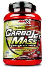 Amix Nutrition CarboJet Mass Pro, 3000 g Příchuť: Lesní ovoce