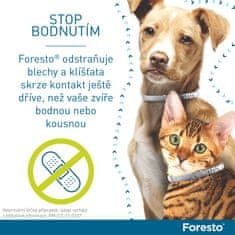 Bayer Foresto antiparazitní obojek pro malé psy a kočky do 8 kg 38 cm