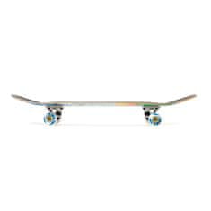 Crandon Skateboard 7,75 Palm