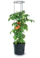 Prosperplast Květináč na pěstování rajčat TOMATO GROWER antracit 29,5cm (max. výška: 115,2cm)