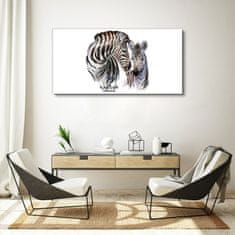 COLORAY.CZ Obraz na plátně Zebra Animal Strips 120x60 cm