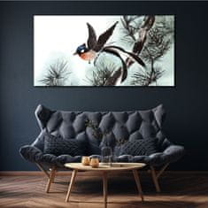 COLORAY.CZ Obraz na plátně Zvířecí pták pobočka 140x70 cm
