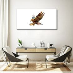 COLORAY.CZ Obraz na plátně Zvířecí pták Eagle 120x60 cm