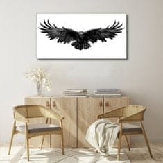 COLORAY.CZ Obraz na plátně Zvířecí pták havran 120x60 cm