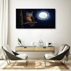 COLORAY.CZ Obraz na plátně strom větev sova noční měsíc 120x60 cm