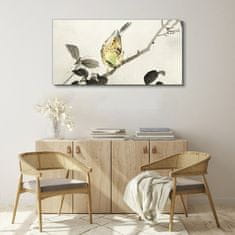 COLORAY.CZ Obraz na plátně Větev živočišného ptáka 120x60 cm