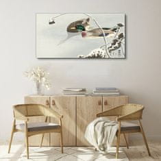 COLORAY.CZ Obraz na plátně Zvířata Birds Water 120x60 cm