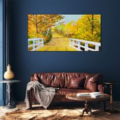 COLORAY.CZ Obraz na skle Bridge Forest podzim 120x60 cm