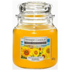 Yankee Candle Svíčka Small Jar 104g SUNFLOWER FIELDS