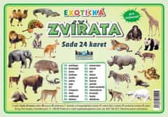 Exotická zvířata - Sada 24 karet