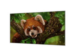 Glasdekor Ochranná deska panda červená na stromě - Ochranná deska: 40x60cm, Lepení na zeď: Bez lepení na zeď