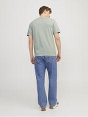 Jack&Jones Pánské triko JJFOREST Standard Fit 12247972 Desert Sage (Velikost M)