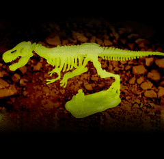 GFT Sada pro malé archeology - Tyranosaurus Rex