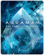 Aquaman a ztracené království (Steelbook - motiv Ice)