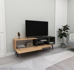 Hanah Home TV stolek Alba - Atlantic Pine, Anthracite, Atlantic Borovice, Antracitová