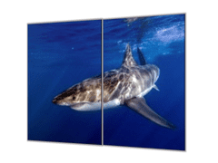 Glasdekor Ochranná deska žralok pod hladinou - Ochranná deska: 40x60cm, Lepení na zeď: S lepením na zeď