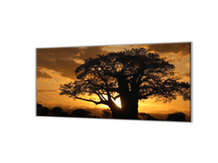 Glasdekor Ochranná deska západ slunce Afrika Tanzanie - Ochranná deska: 60x70cm, Lepení na zeď: Bez lepení na zeď