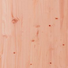 Petromila Zahradní truhlík 70 x 40 x 72,5 cm masivní dřevo douglasky