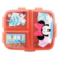 Stor Dělený plastový box na svačinu XL, MINNIE MOUSE, 74499