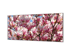 Glasdekor Ochranná deska květy magnolie - Ochranná deska: 70x70cm, Lepení na zeď: S lepením na zeď