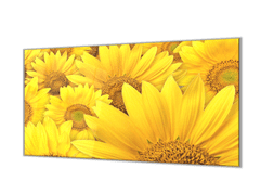 Glasdekor Ochranná deska žluté květy slunečnice - Ochranná deska: 55x55cm, Lepení na zeď: S lepením na zeď