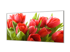 Glasdekor Ochranná deska květy červené tulipány - Ochranná deska: 55x90cm, Lepení na zeď: S lepením na zeď