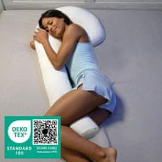 Mediashop Dreamolino Swan Pillow