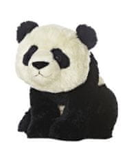 Aurora Plyšová panda - Destination Nation - 24 cm