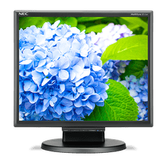 NEC 17" LED E172M,1280x1024,TN,250cd,50mm,BK