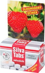 Forestina SILVA TABS Hnojivo na jahody 250g