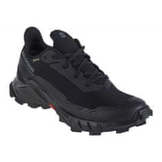 Salomon Běžecká obuv Alphacross 5 Gtx velikost 37 1/3