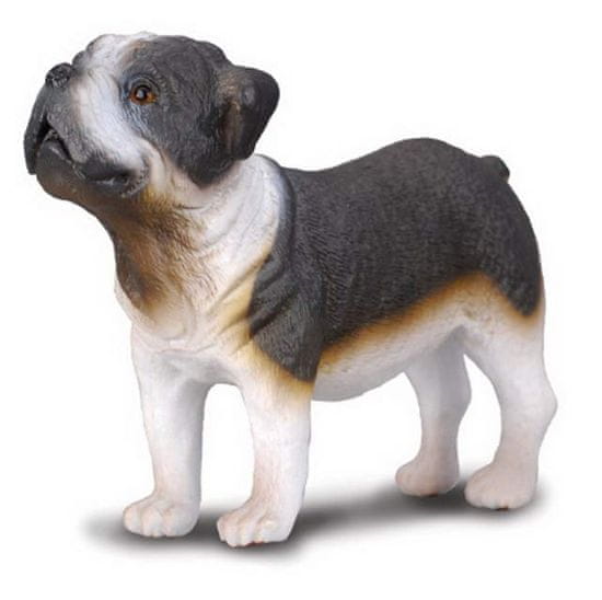 COLLECTA Buldog - model zvířátka