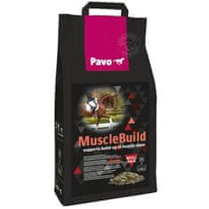 Muscle Build 3 kg NOVÝ pytel