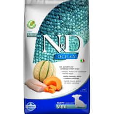 OCEAN Dog GF Cod, Pumpkin & Cantaloupe Melon Puppy Mini 2,5 kg