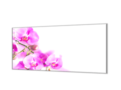 Glasdekor Skleněný kryt na stěnu květy fialové orchideje - Ochranná deska: 50x50cm, Lepení na zeď: S lepením na zeď
