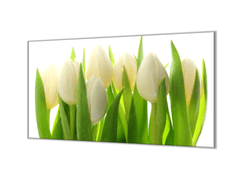 Glasdekor Ochranná deska květy bílé tulipány - Ochranná deska: 55x90cm, Lepení na zeď: Bez lepení na zeď