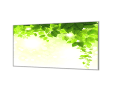 Glasdekor Ochranná deska zelené listí - Ochranná deska: 65x65cm, Lepení na zeď: S lepením na zeď