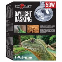 REPTI PLANET Žárovka Daylight Basking Spot 50W