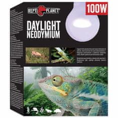 REPTI PLANET Žárovka Daylight Neodymium 100W