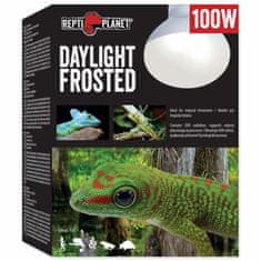 REPTI PLANET Žárovka Daylight Frosted 100W