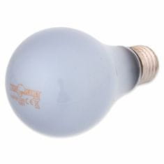 REPTI PLANET Žárovka Daylight Neodymium 100W