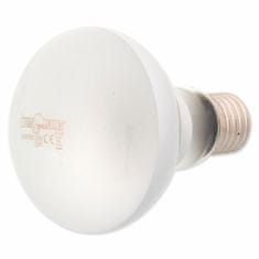 REPTI PLANET Žárovka Daylight Frosted 100W