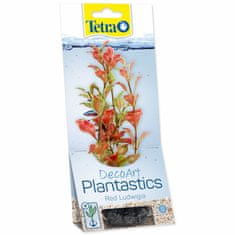 Tetra Dekorace Rostlina Red Ludwigia S 15cm