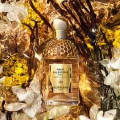 Guerlain Aqua Allegoria Forte Bosca Vanilla - EDP 75 ml