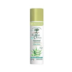 Le Petit Olivier Aloe vera